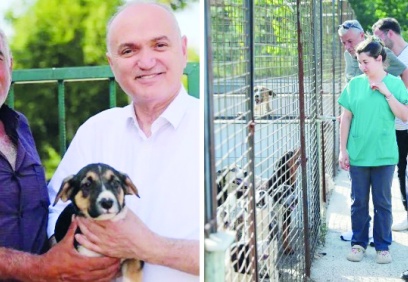 AKP'li Düzce Belediye Başkanı Faruk Özlü'den sokak hayvanları çıkışı: Uygulanabilir değil