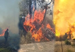 Maraş’taki orman yangını 18 saat sonra kontrol altına alınabildi