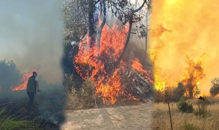 Maraş’taki orman yangını 18 saat sonra kontrol altına alınabildi