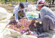 Çiftçi eylemleri büyüyor