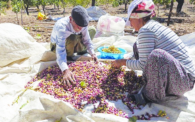 Çiftçi eylemleri büyüyor