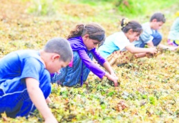 Çocukların yüzde 25’i, yani her 4 çocuktan 1’i yoksulluk yaşıyor