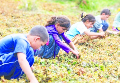 Çocukların yüzde 25’i, yani her 4 çocuktan 1’i yoksulluk yaşıyor
