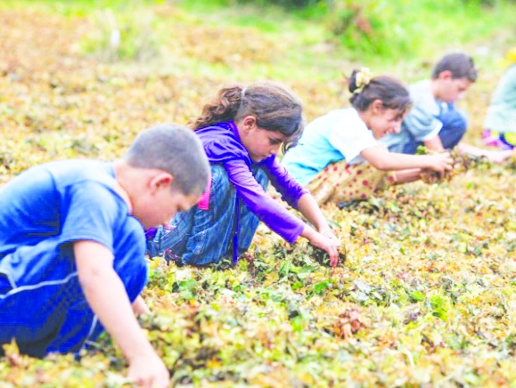 Çocukların yüzde 25’i, yani her 4 çocuktan 1’i yoksulluk yaşıyor