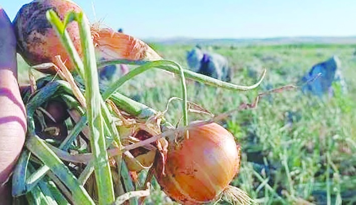 Çiftçinin anası da babası da dedesi de yedi sülalesi de ağlıyor