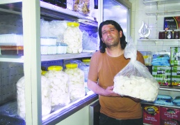 Peynirciler, sezondan  umduğunu bulamadı