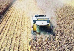 Temmuz ayı tarımda üretici enflasyonu belli oldu