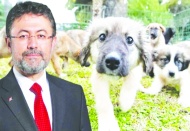 Vicdanları rafta! Bakan Yumaklı 'katliam yasası'nı savundu, belediyeleri hedef aldı