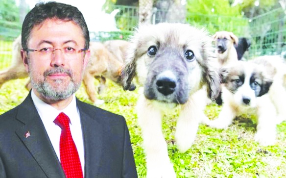 Vicdanları rafta! Bakan Yumaklı 'katliam yasası'nı savundu, belediyeleri hedef aldı
