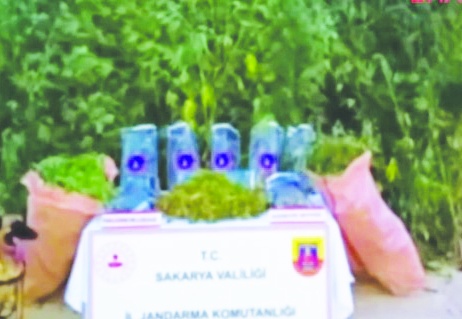 1.5 ton uyuşturucu ele geçirildi