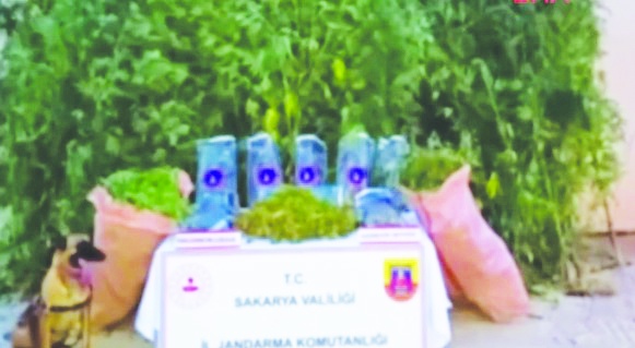 1.5 ton uyuşturucu ele geçirildi