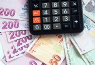 Destek miktarları ürüne göre 138 TL ile 472 TL arasında değişecek