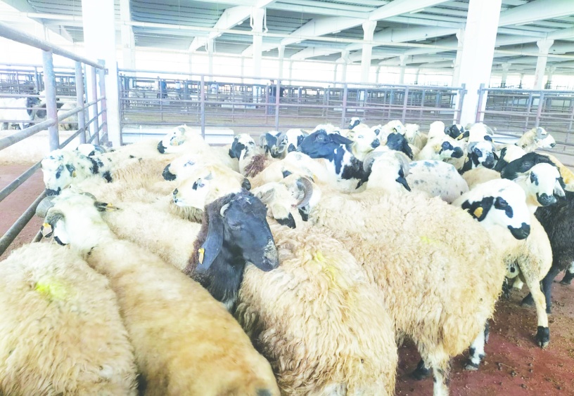Üretici emeğinin  karşılığını alamıyor