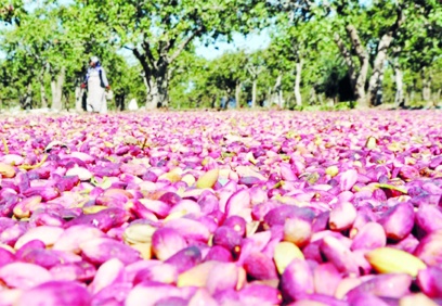 Devlet eliyle ayrımcılık yapılıyor