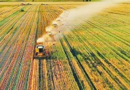 Çiftçiye, gübre ve mazot desteği kaldırıldı