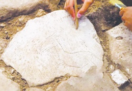 En az 12 bin yıllık olduğu düşünülen Karahantepe'de tarihi tamamen değiştirecek keşif