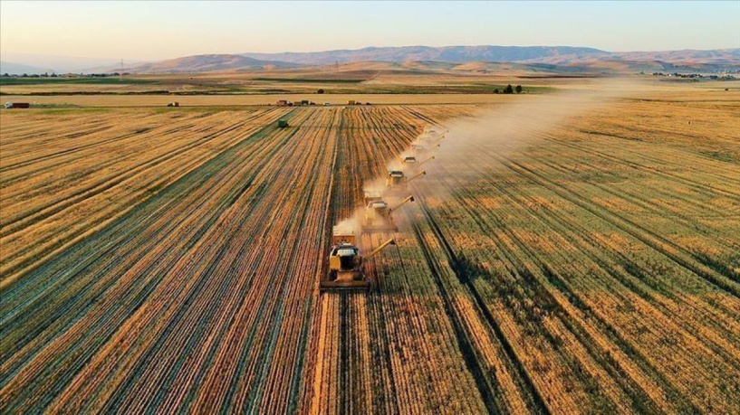 Tarımsal girdi fiyatları aylık yüzde 3,42, yıllık yüzde 41,60 arttı