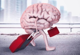 Beyin göçü oranı 2015'te yüzde 1,6 iken, 2023'te yüzde 2 oldu