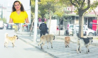 Toplumu, birlikte yaşanabilir bir  dünya inşa etmeye davet ediyoruz