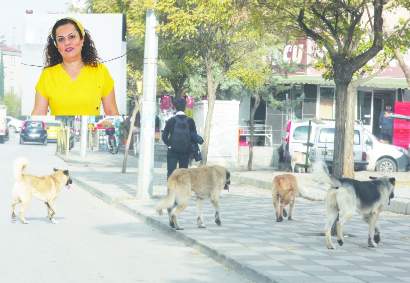 Toplumu, birlikte yaşanabilir bir  dünya inşa etmeye davet ediyoruz