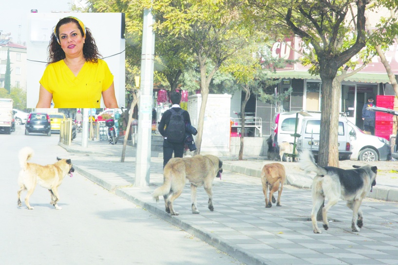 Toplumu, birlikte yaşanabilir bir  dünya inşa etmeye davet ediyoruz