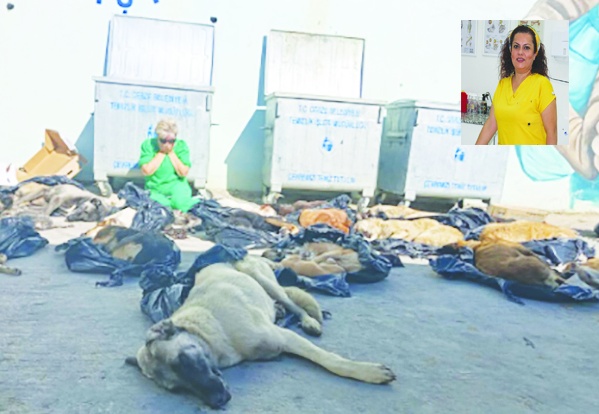 Emri veren yetkililer de dahil  tüm suçlular cezası çekmeli