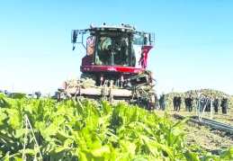 “Fiyatlar üreticilerin geçimlerini sağlayacakları seviyede olmalı"