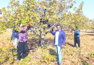 Artan sıcaklık ve azalan yağışlar, kuraklık afetinin sıklığını ve şiddetini artırıyor