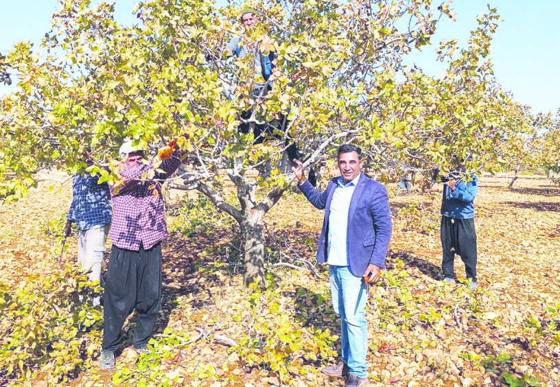 Artan sıcaklık ve azalan yağışlar, kuraklık  afetinin sıklığını ve şiddetini artırıyor
