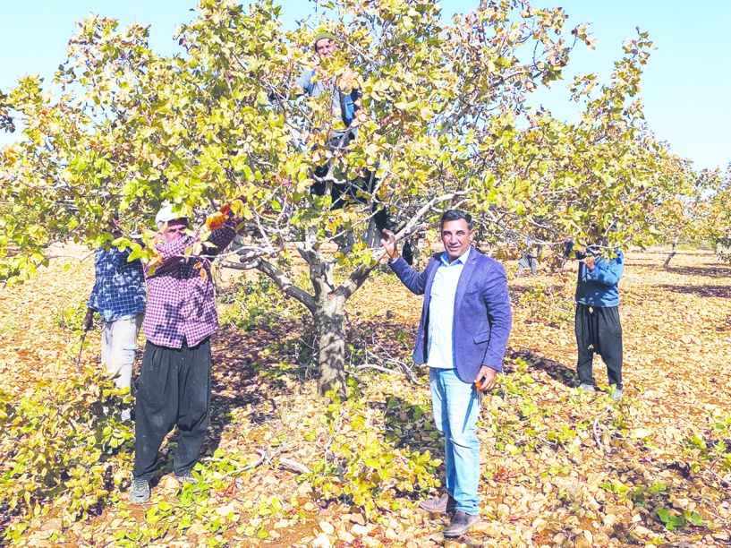 Artan sıcaklık ve azalan yağışlar, kuraklık  afetinin sıklığını ve şiddetini artırıyor