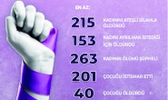 Erkekler 15 yılda 4 bin 179 kadını  öldürdü, 7 bin 221 kadını yaraladı