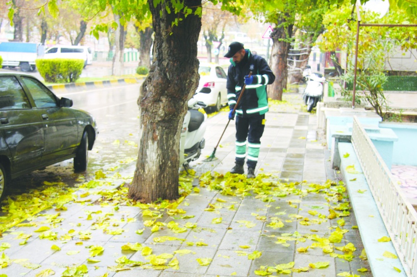 Yaprak temizleme mesaisi başladı