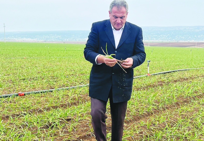 20 yılda 2,6 milyon hektar tarım arazisi kaybedildi