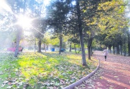 Kışın ortası geldi, Antep halen sonbaharı yaşıyor
