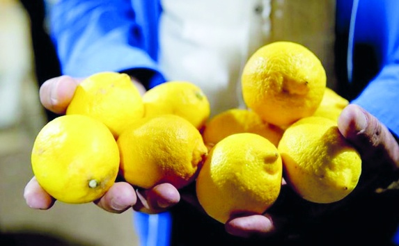 Türkiye'de 'pestisitli limon' krizi, tüm limonlar gümrükten döndü