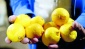Türkiye'de 'pestisitli limon' krizi, tüm limonlar gümrükten döndü