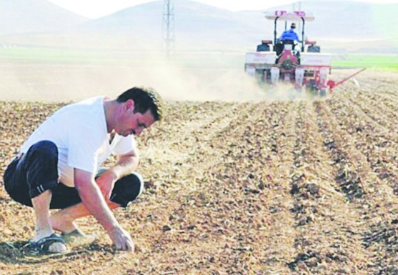 Çiftçiyi kuraklık korkusu sardı