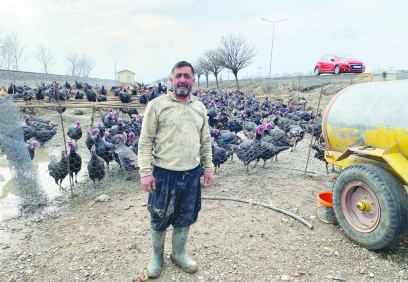 Yılbaşı hindisi Türkoğlu’ndan alınıyor