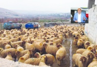 Desteklemeye başvuran üretici sayısı azaldı