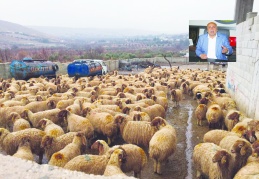 Desteklemeye başvuran üretici sayısı azaldı