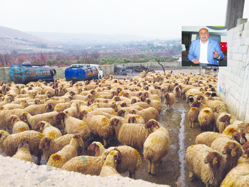 Desteklemeye başvuran üretici sayısı azaldı