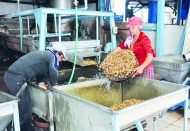 Aflatoksin tehdidi sandığınızdan daha büyük: 'Kanser' alarmı!