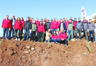 Çimko, faaliyetlerini tamamladığı kalker sahasını ağaçlandırdı