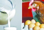 Tavuk eti, yumurta ve içme sütü üretimi azaldı