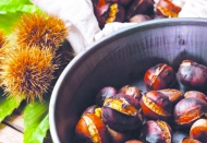 Günde 5 kestane kanserden koruyor