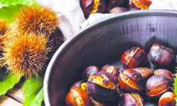 Günde 5 kestane kanserden koruyor