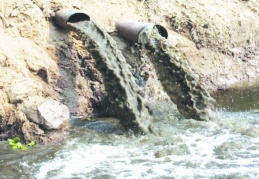 Barajların kirli suları ile yetişen zehirli ürünleri yiyoruz