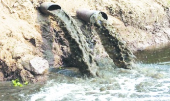 Barajların kirli suları ile yetişen zehirli ürünleri yiyoruz