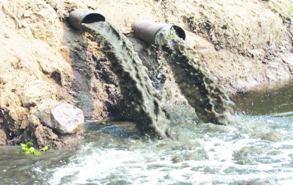 Barajların kirli suları ile yetişen zehirli ürünleri yiyoruz