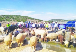 Bölgesel bir tesis kurabilmek  için 80-100 milyon lira gerekiyor